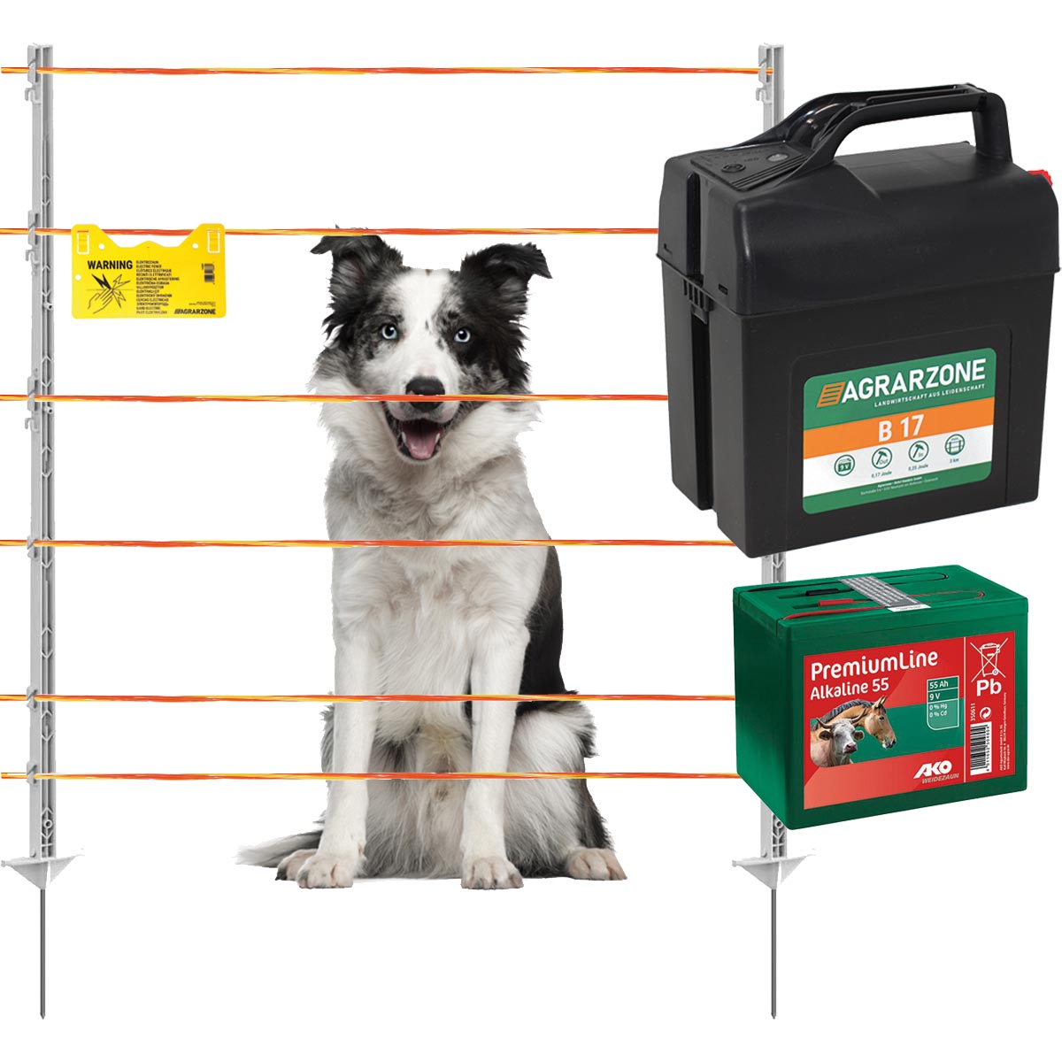 Kit clôture Agrarzone pour chien B17 à batterie 9V/12V, 0,25J, fil 250m, orange-jaune