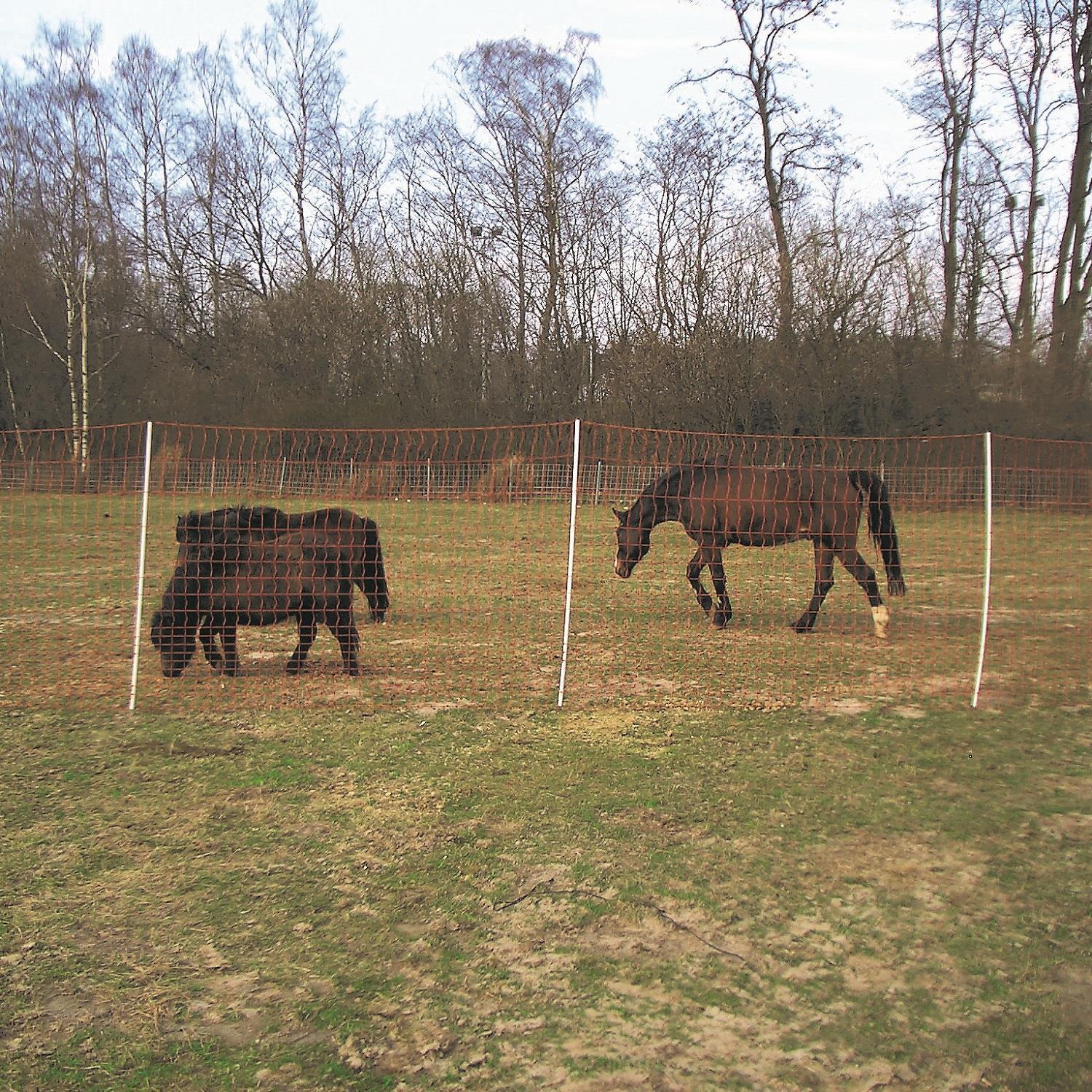 Filet de clôture Euro-Mustang à mailles serrées électrifié double pointe, orange, 50 m x 145 cm
