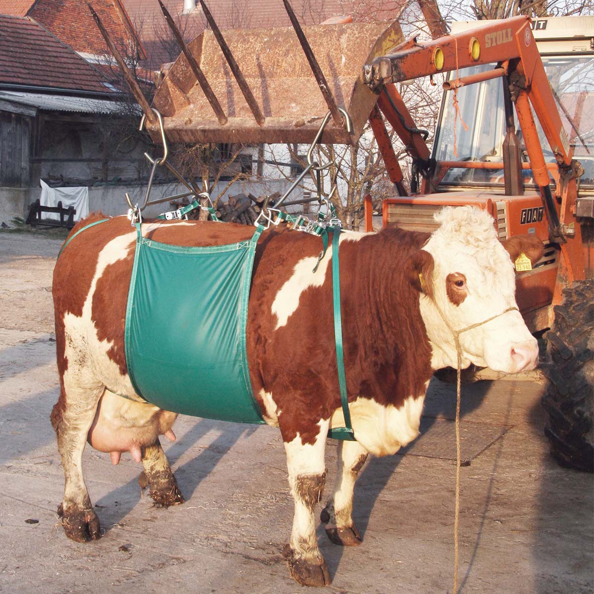 Harnais de levage pour bétails Kerbl jusqu'à 1000 kg
