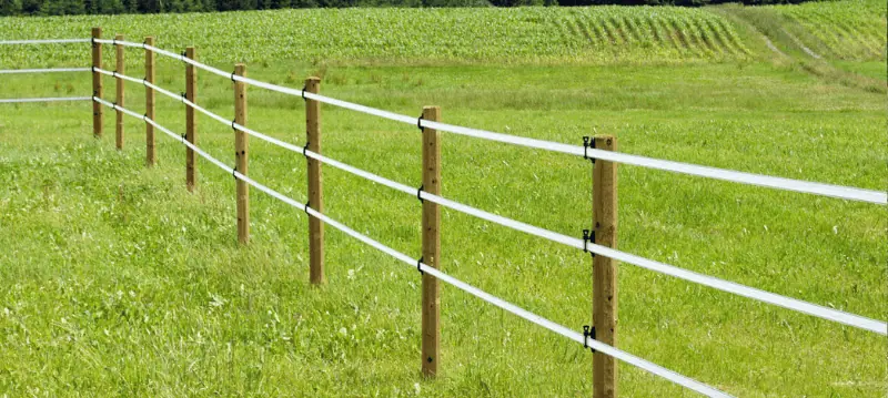 Piquet clôture électrique chevaux