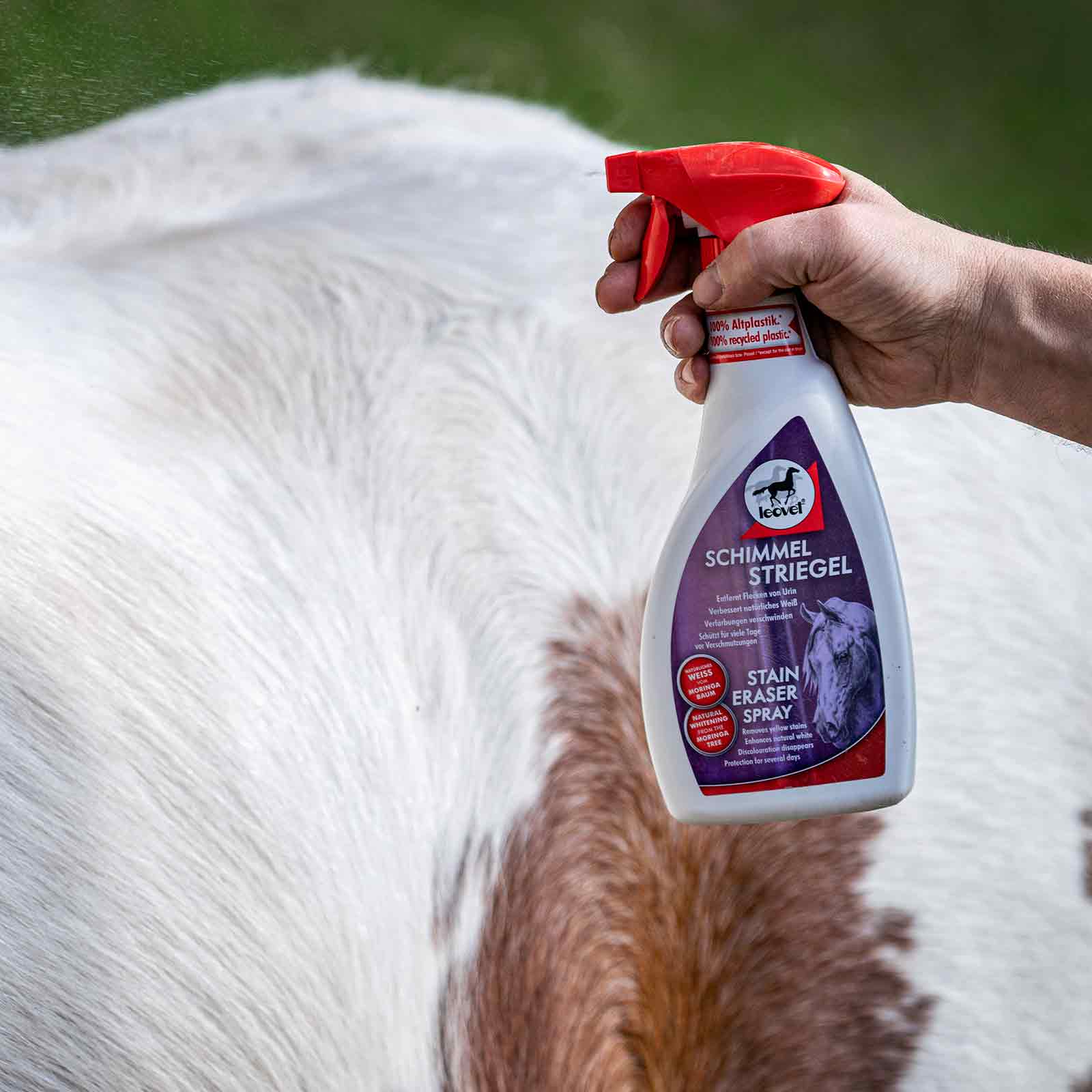 Spray détachant pour cheval gris moucheté Leovet Schimmel Striegel 550 ml