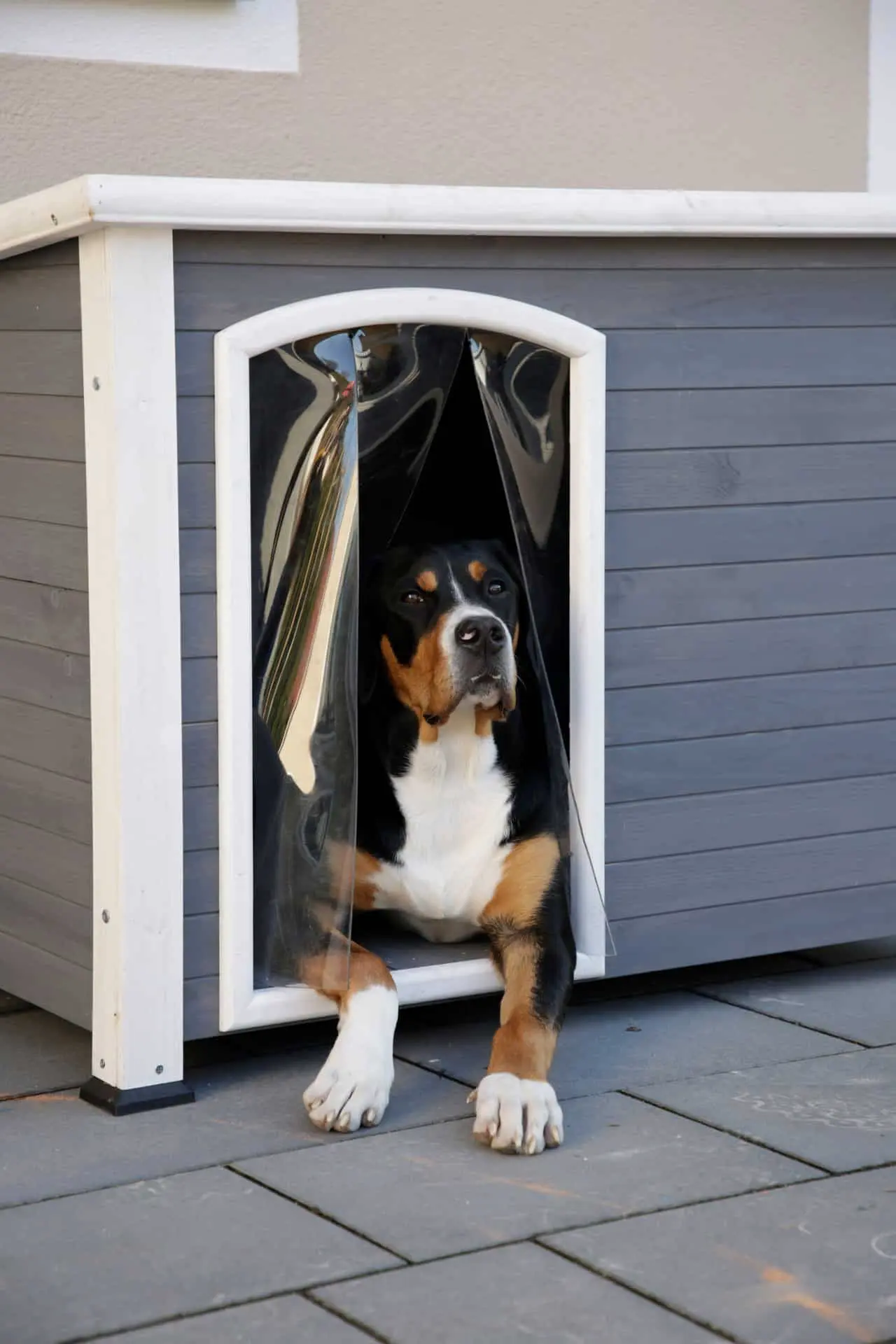 Dog House Kenny, grey/white 113 x 77 x 81 cm