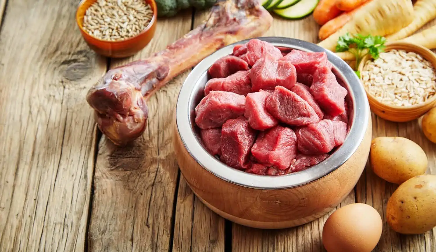 Aliments pour chiens à haute teneur en viande